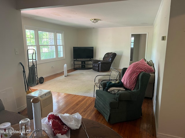 living room featuring hardwood / wood-style flooring