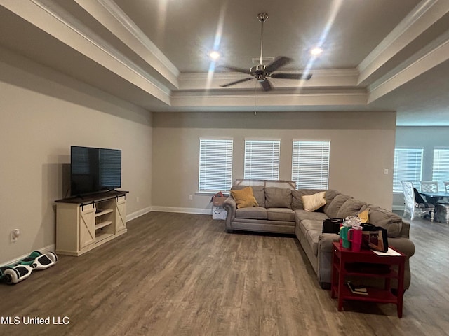 living room with crown molding, wood-type flooring, and a raised ceiling