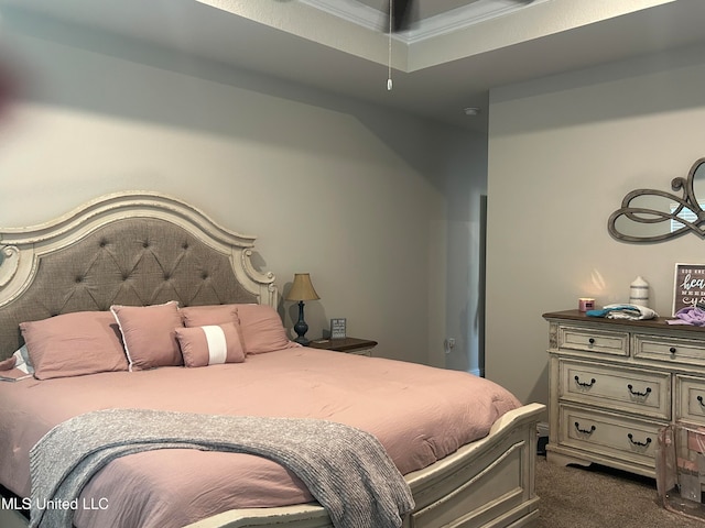 carpeted bedroom with a raised ceiling