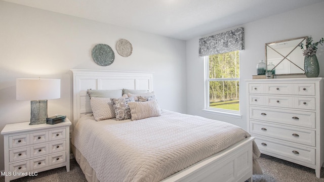169 Mill Ct, Lucedale, MS 39452 - bedroom featuring dark carpet