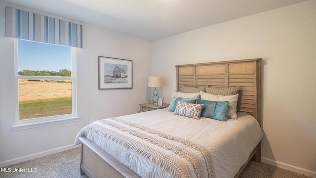 169 Mill Ct, Lucedale, MS 39452 - bedroom featuring carpet floors