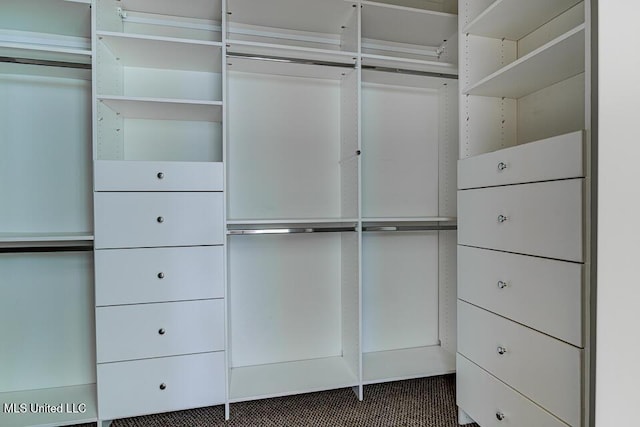 spacious closet featuring dark carpet