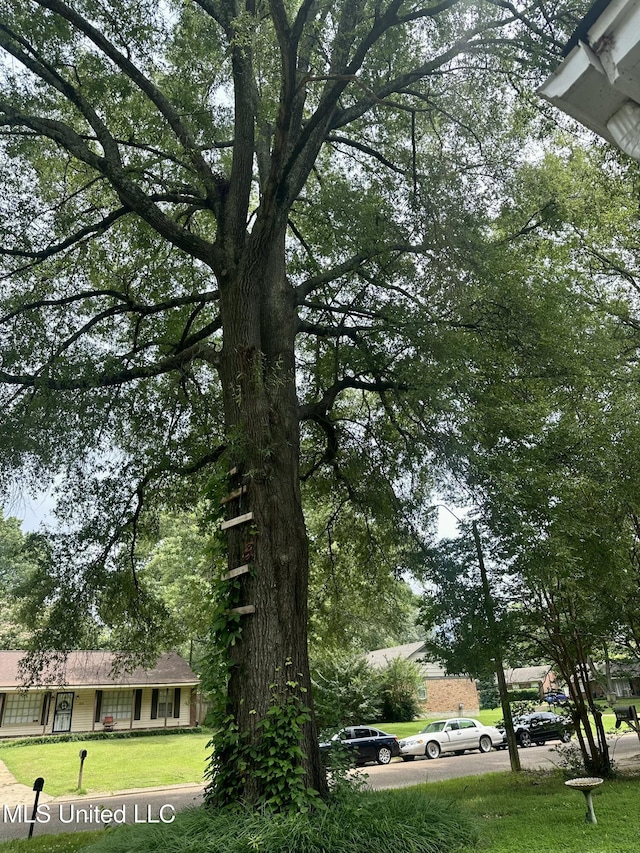 8215 Whitehead Dr, Southaven, MS 38671 - view of home's community featuring a lawn
