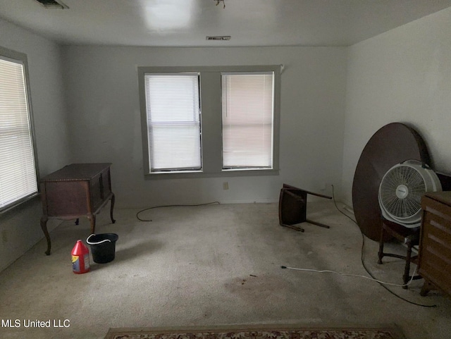 interior space with light carpet