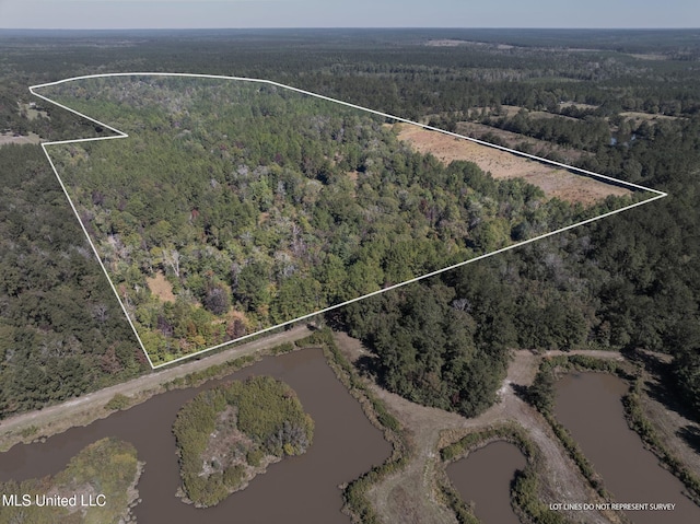 Listing photo 3 for 91Acres Burge & Reyer, Poplarville MS 39470