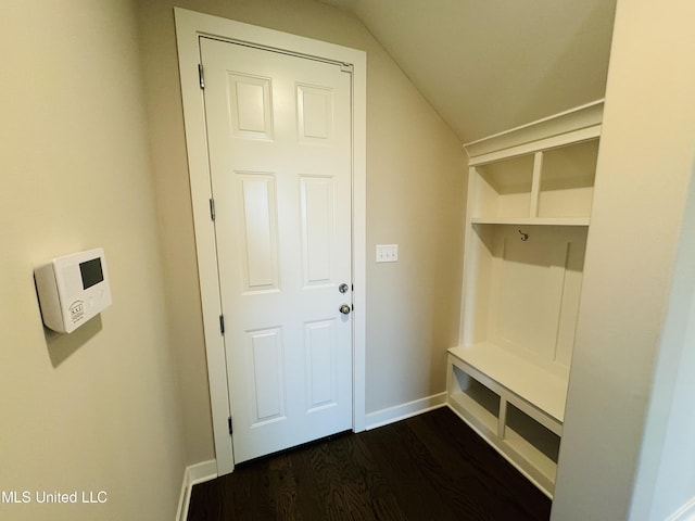 3919 Mcelroy Farms Dr, Olive Branch, MS 38654 - mudroom featuring dark wood-style floors and lofted ceiling