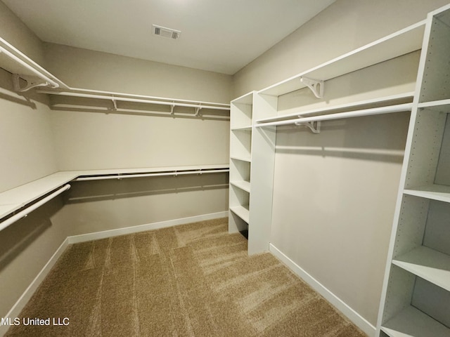3919 Mcelroy Farms Dr, Olive Branch, MS 38654 - walk in closet featuring carpet floors