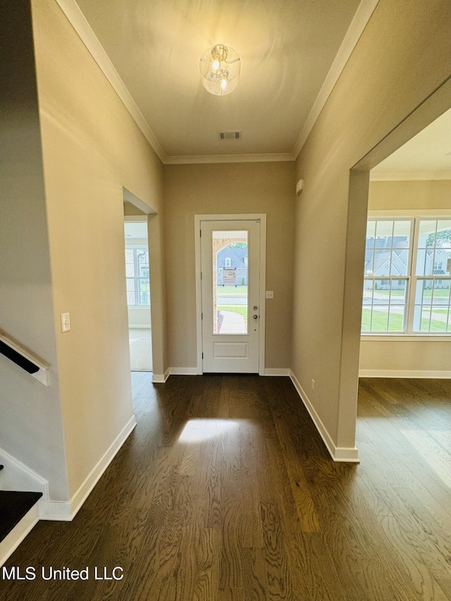 3919 Mcelroy Farms Dr, Olive Branch, MS 38654 - foyer entrance with dark wood-style floors, plenty of natural light, ornamental molding, and stairway