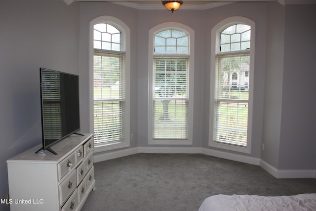 interior space with dark carpet and crown molding