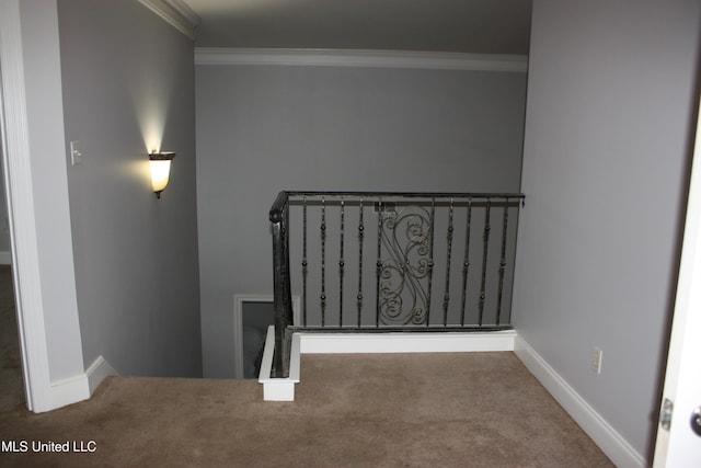 stairs featuring crown molding and carpet