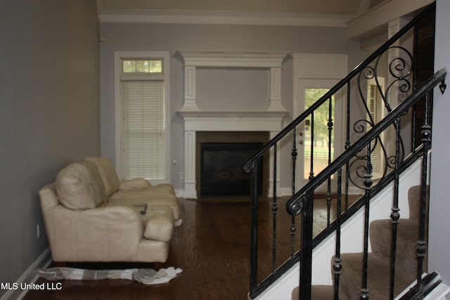 living room featuring a large fireplace, hardwood / wood-style flooring, and crown molding