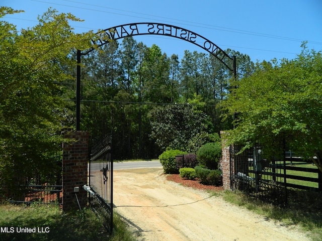 view of property's community featuring a gate, fence, and driveway