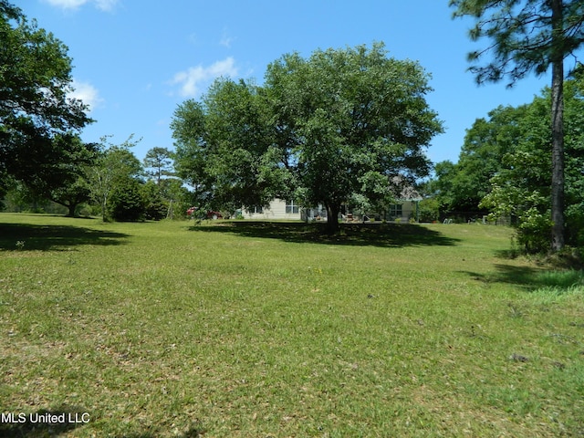 view of yard