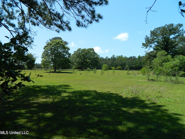 view of yard featuring a rural view