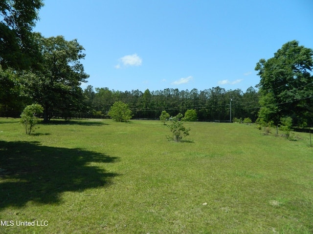 view of yard with a forest view