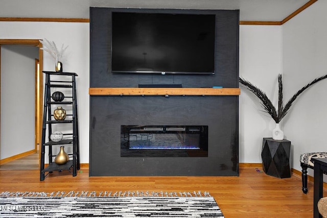 details featuring crown molding, a large fireplace, and wood-type flooring