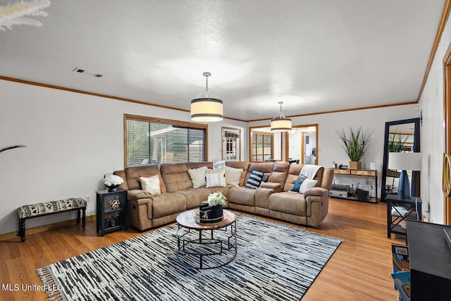 living room with ornamental molding, a textured ceiling, and hardwood / wood-style flooring