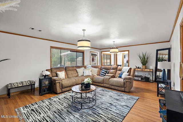 living room featuring ornamental molding, hardwood / wood-style floors, and a textured ceiling