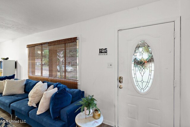 entryway featuring wood-type flooring and a wealth of natural light