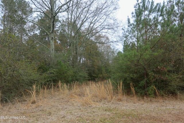 Listing photo 2 for D A Dyess Rd, Carson MS 39427