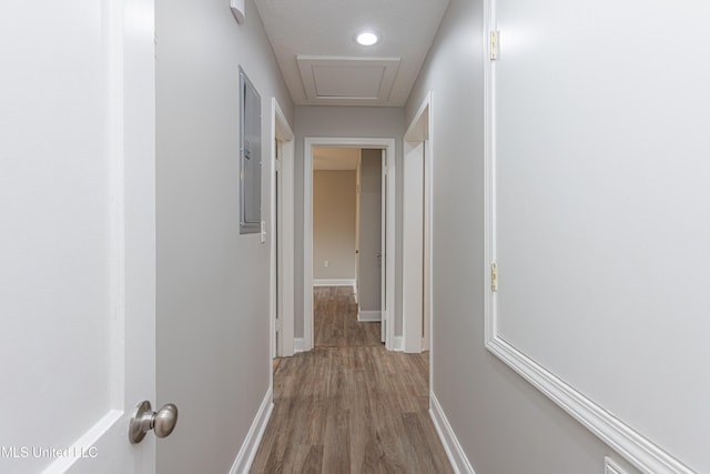 hallway featuring light wood-type flooring