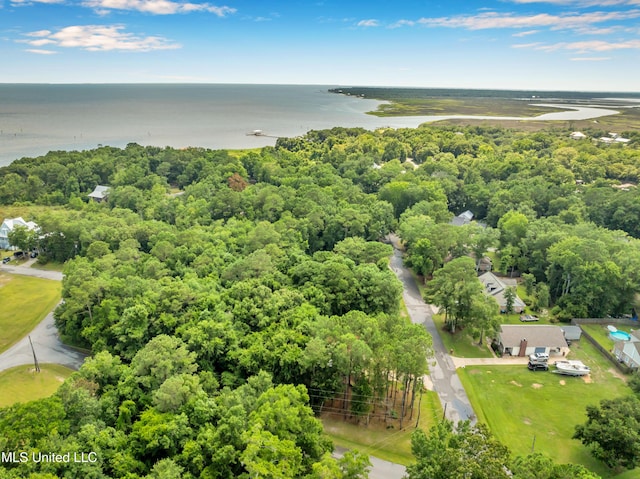 3005 Robalo Dr, Gautier, MS 39553 - drone / aerial view of a large body of water and a forest