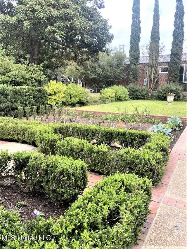 707 State St Unit 705, Natchez, MS 39120 - view of yard