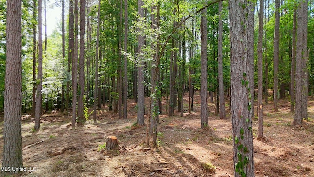 Dogwood Trce, Brandon, MS 39042