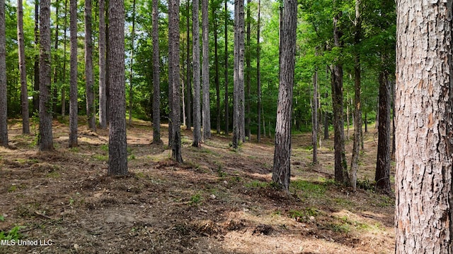 Dogwood Trce, Brandon, MS 39042