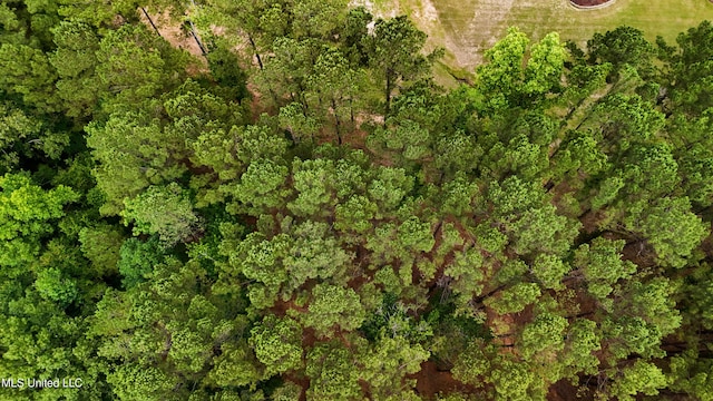 Dogwood Trce, Brandon, MS 39042