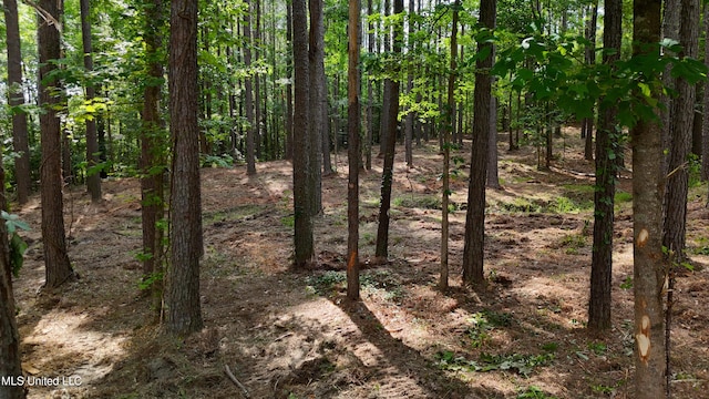 Dogwood Trce, Brandon, MS 39042