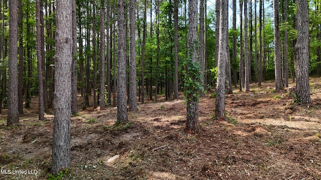 Dogwood Trce, Brandon, MS 39042