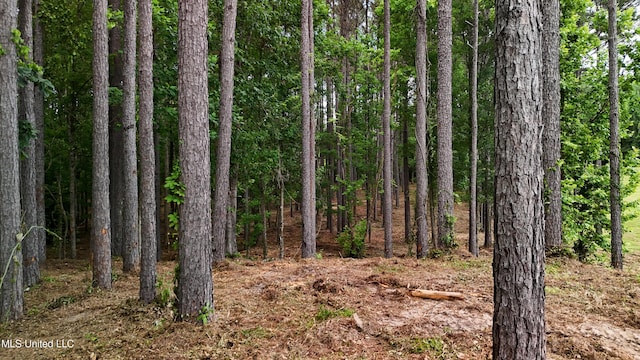 Dogwood Trce, Brandon, MS 39042