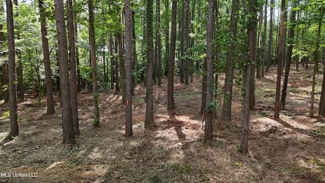 Dogwood Trce, Brandon, MS 39042