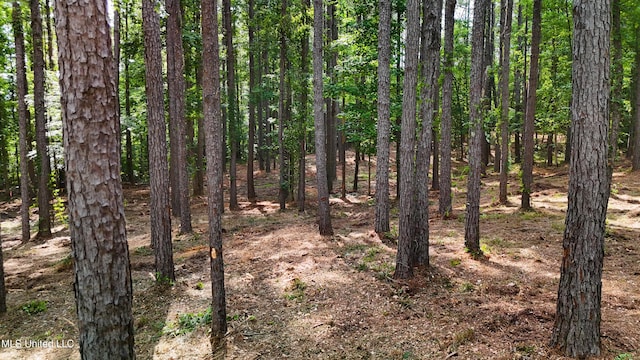 Dogwood Trce, Brandon, MS 39042