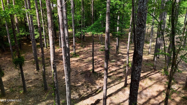 Dogwood Trce, Brandon, MS 39042
