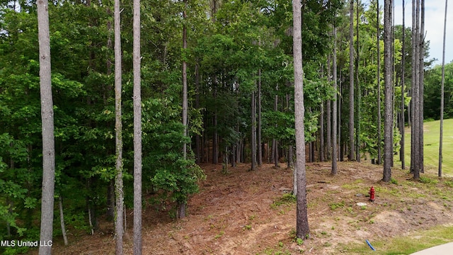 Dogwood Trce, Brandon, MS 39042