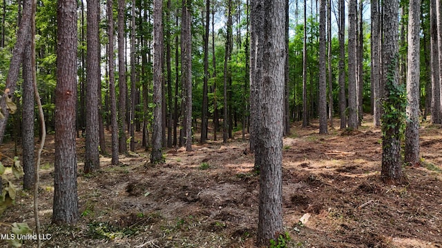 Dogwood Trce, Brandon, MS 39042