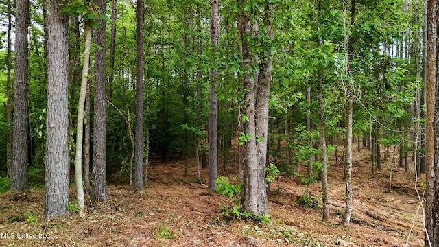 Dogwood Trce, Brandon, MS 39042