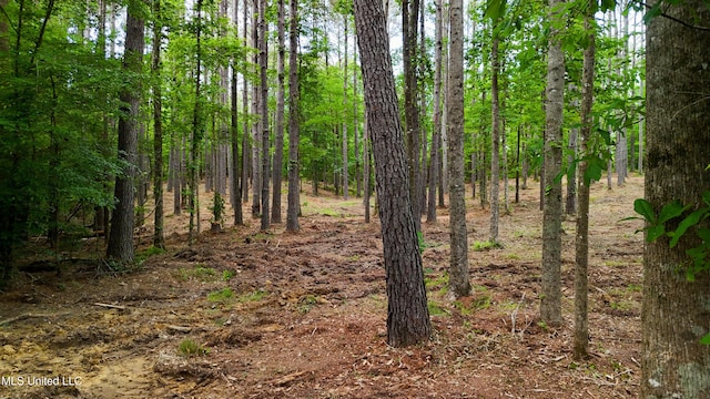 Dogwood Trce, Brandon, MS 39042