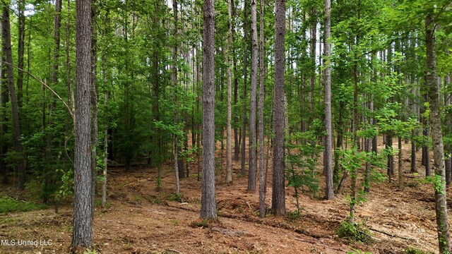 Dogwood Trce, Brandon, MS 39042