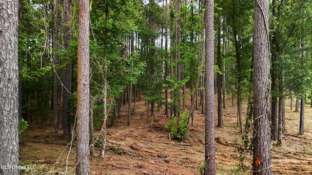 Dogwood Trce, Brandon, MS 39042