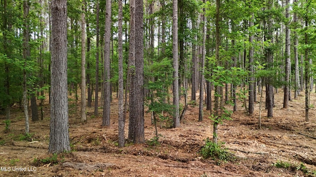 Dogwood Trce, Brandon, MS 39042