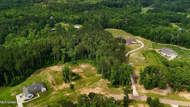 Dogwood Trce, Brandon, MS 39042