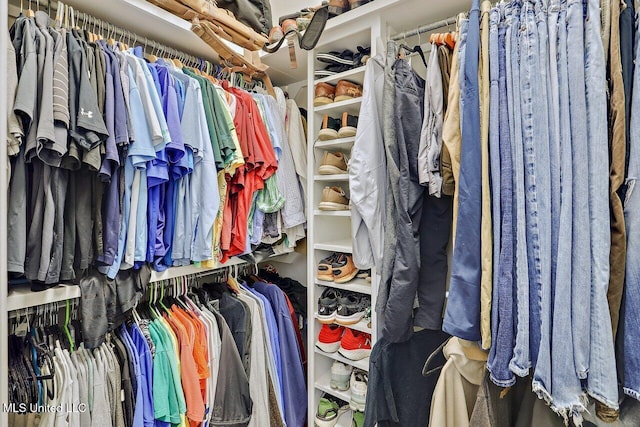 30 Charleston Cir, Brandon, MS 39047 - view of walk in closet