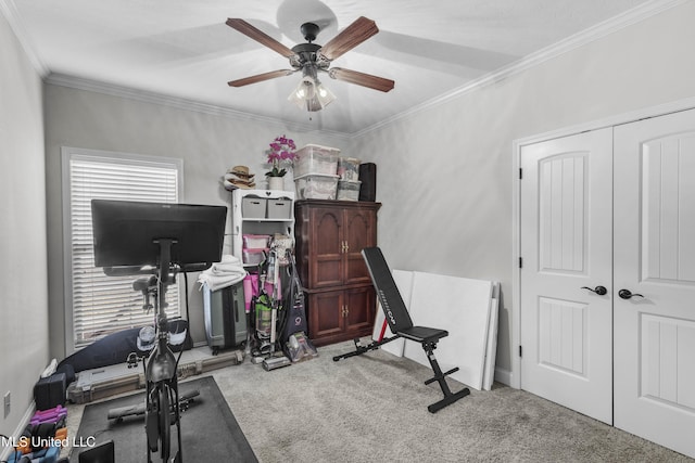 workout area with crown molding, carpet flooring, and ceiling fan