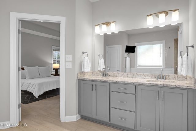 bathroom with wood-type flooring and vanity