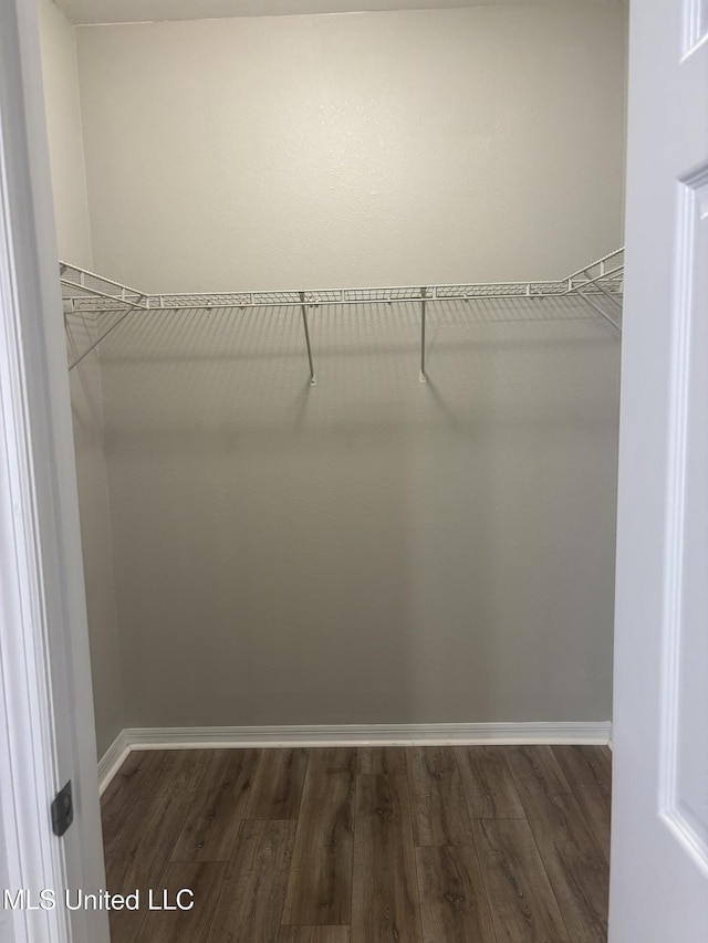 walk in closet with dark wood-type flooring