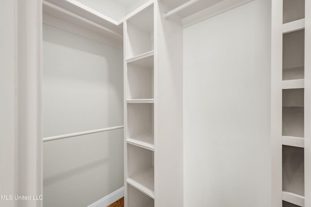 14864 Audubon Lake Blvd, Gulfport, MS 39503 - view of walk in closet