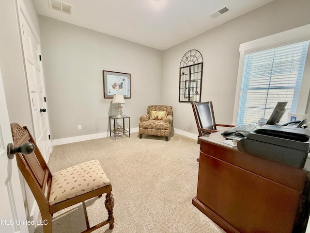 home office featuring carpet flooring